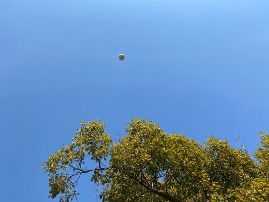 今年もありがとうございました!