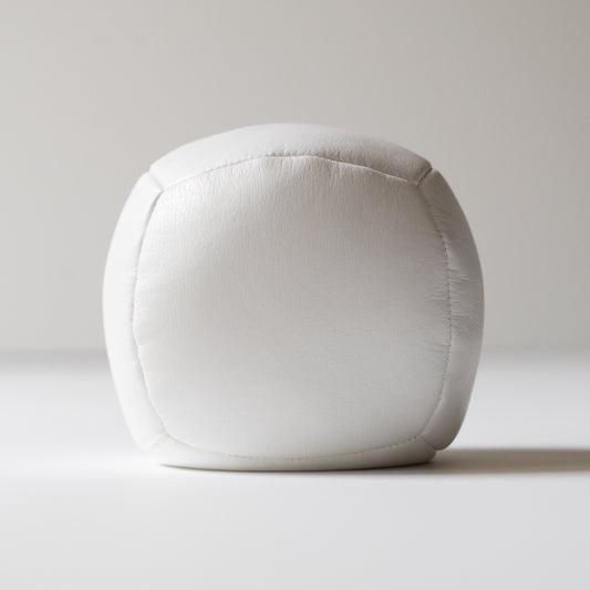 ビッグバッグ(Newモデル)