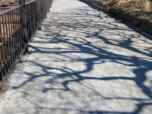 今が一番