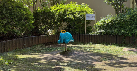 夏の訪れ