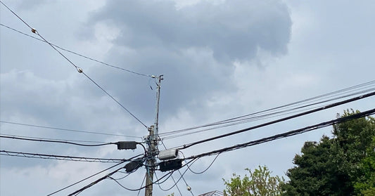 わがままボール