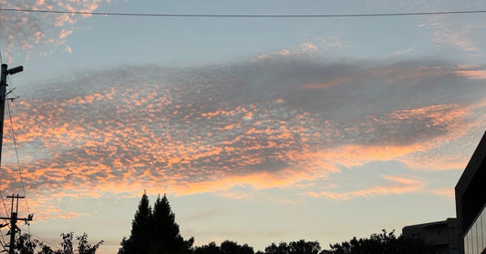 雲