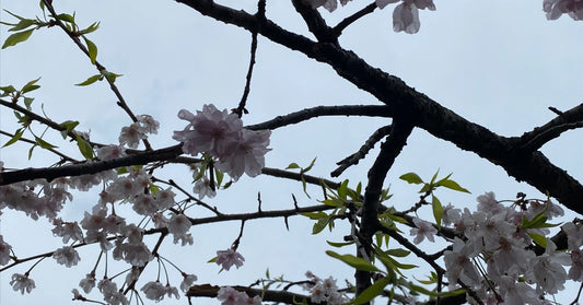 フィーリング・グッド