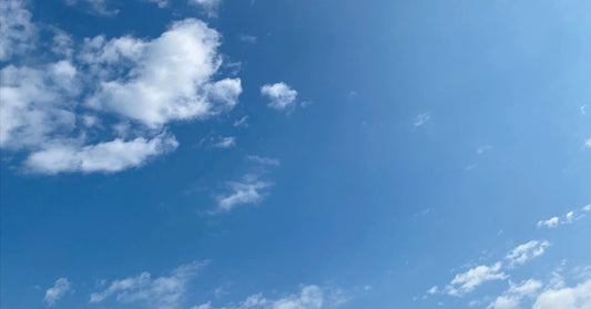 ゆるさの全肯定